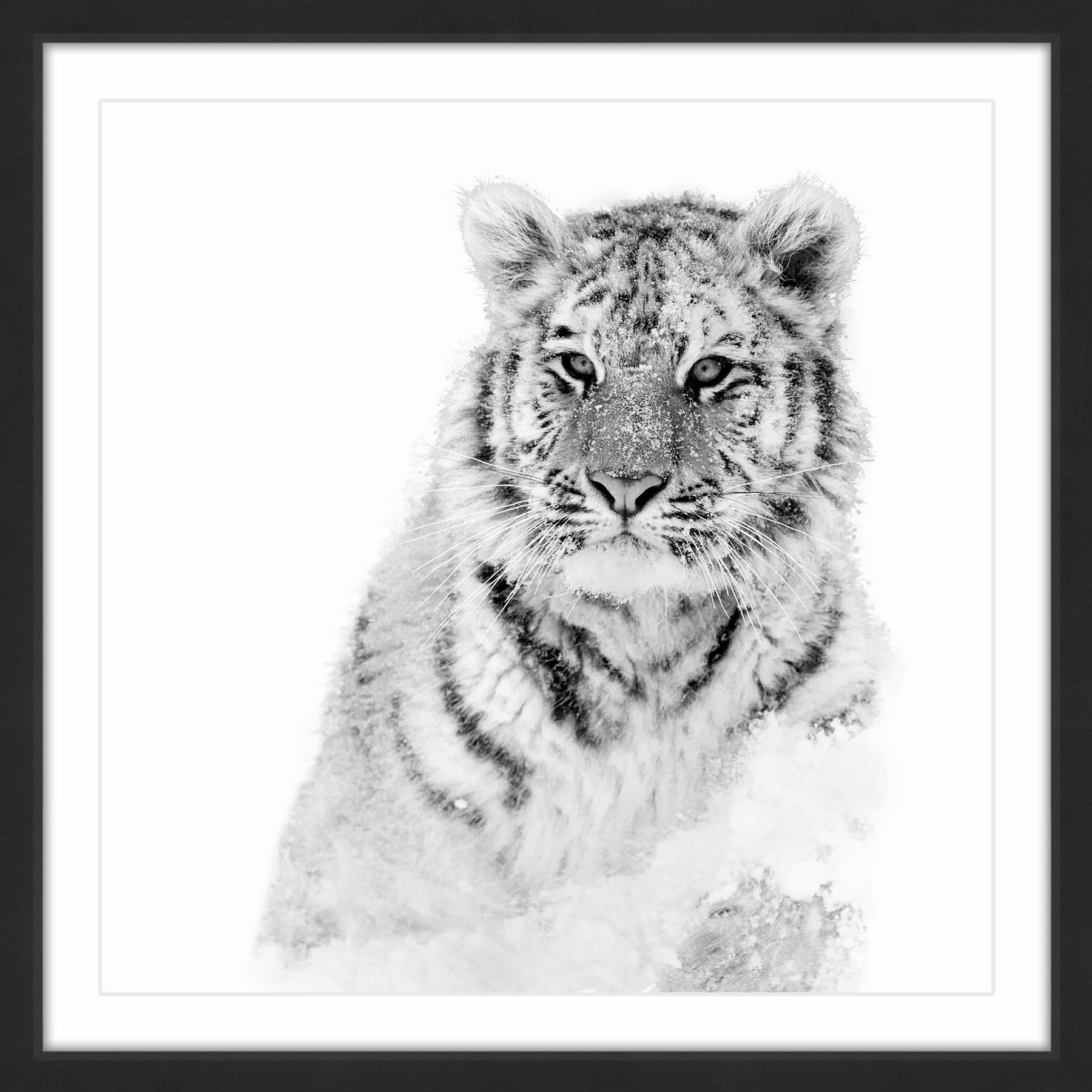Observance Framed Painting Print