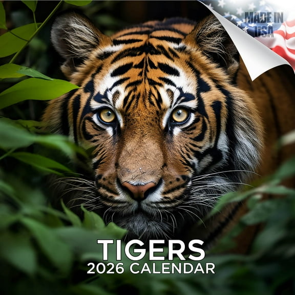 2025 2026 Tigers Calendar - African Wildlife Monthly Wall Calendar - 12 x 24 Open - Thick No-Bleed Paper - Giftable - Academic Teacher's Planner Calendar Organizing & Planning - Made in USA