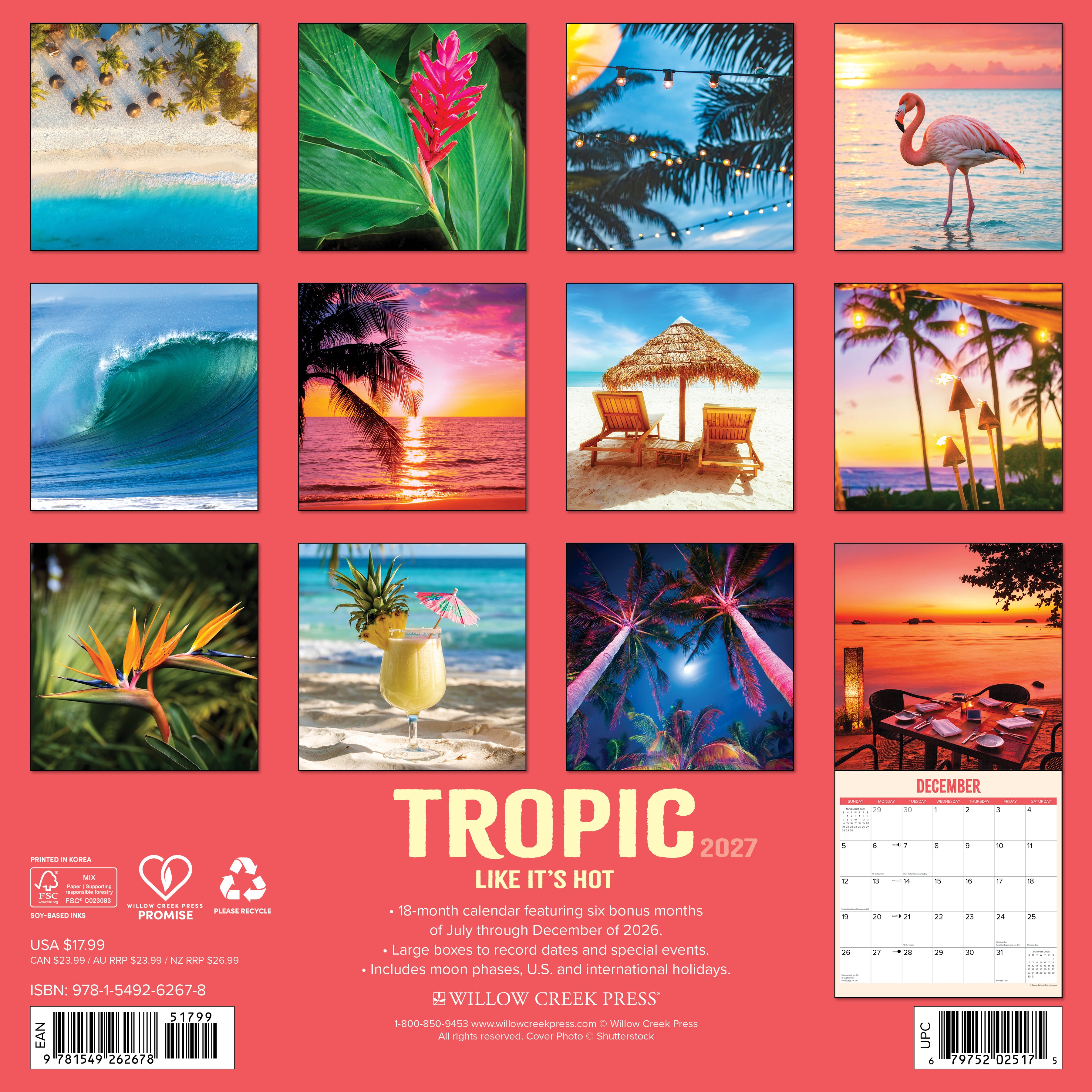 Willow Creek Press, Tropic Like It’s Hot 2027 Wall Calendar