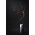 thumbnail image 3 of Kiyota, Daisuke 11x14 Black Modern Framed Museum Art Print Titled - A Japanese Quince, 3 of 5