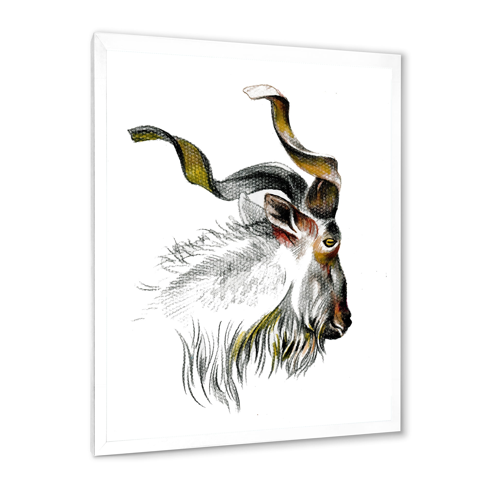 Designart 'Black and White Portrait Of Goat II' Farmhouse Framed Art Print