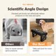 thumbnail image 5 of Dog Bowls Stand 3 Adjustable Height Pet Slow Feeding Dish Bowl Elevated Food Water Feeders Table for Small Medium Large Dogs ShopWise Round, 5 of 7