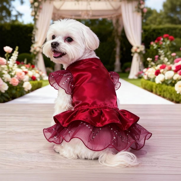 Vestido de novia para perros pequeños y medianos – Conjunto de fiesta • Visera ligera primavera-verano • Beige rojo negro • Ropa formal transpirable para mascotas • Fácil de poner y quitar • 25cm