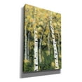 thumbnail image 2 of Epic Graffiti 'Birch Treeline III' by Jade Reynolds, Canvas Wall Art, 18"x26", 2 of 2