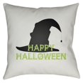 thumbnail image 2 of Surya  20 x 20 x 4 in. Boo Square Throw Pillow - White, 2 of 2