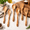 Olive-Olive 6 PCS, variant on 6 12 Inch Hard Maple Wood Kitchen Utensils Set - Wooden Spoons For Cooking Nonstick Cookware