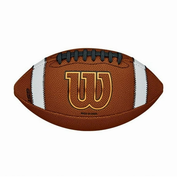 Wilson 1297294 GST Composite Football - TDY