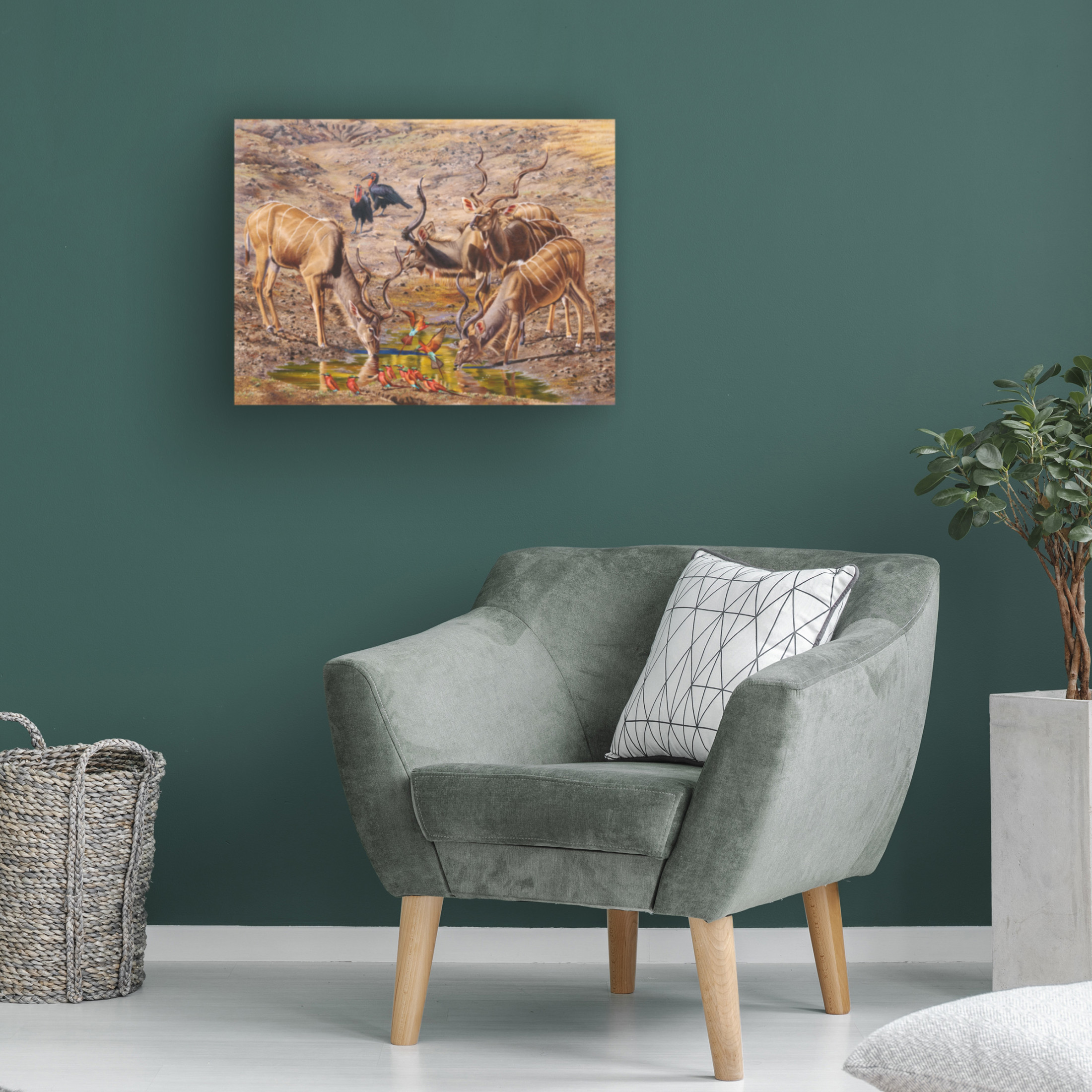 Canvas Wall Art - Delene Lambert 'Birds Eye View Kudu' Wall Art for Living Room, Bedroom, or Office Décor by Trademark Fine Art - 24 x 18 Inches