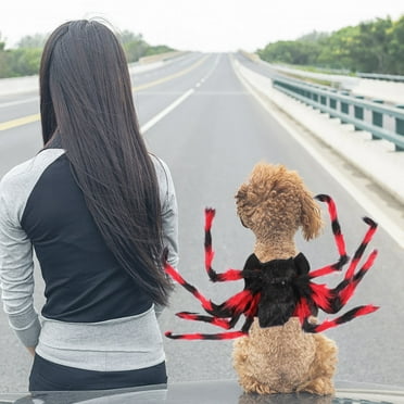 HEMOTON Halloween Pet Apparel Spider Costume Suit for Dogs Cat