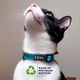 thumbnail image 3 of Collar para gato Pawtitas reflectante, ajustable y ecológico con campana, 3 of 9