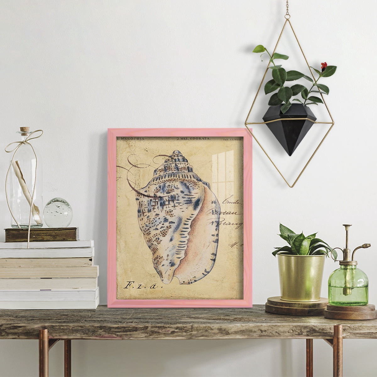 Seashell Ephemera I - Framed Print w/glass - Sunset Pink