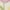 Ivory/Pink, variant on SAFAVIEH Kids Collection SFK355A Handmade Ivory/Pink Rug