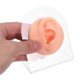 thumbnail image 5 of MERRYHAPY 1Par Oreja Simulada De Silicona Rosa Para Mostrar Joyas Y Practicar Piercing Con Base Estable, 5 of 8