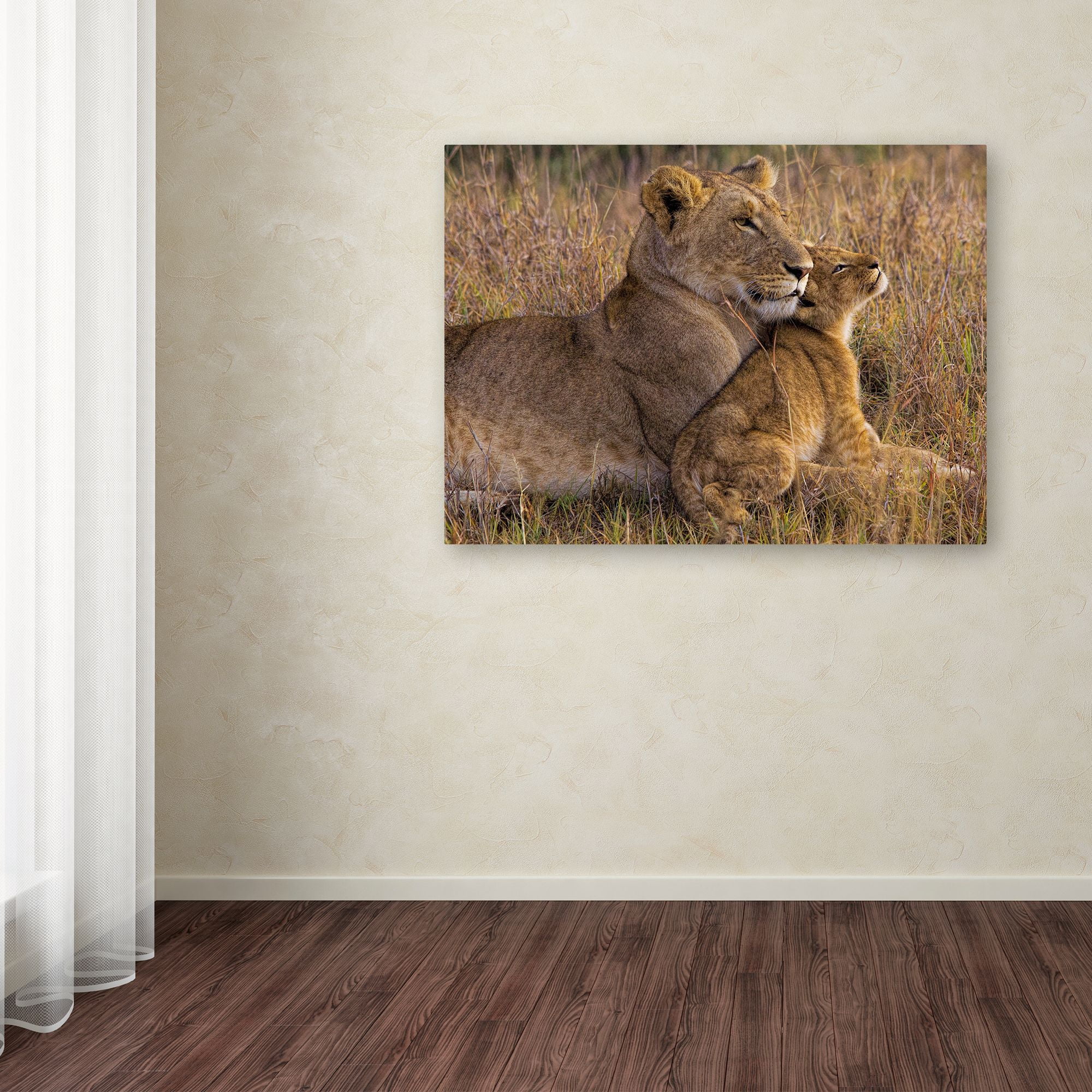 Trademark Fine Art 'Baby Lion With Mother' Canvas Art by Henry Jager
