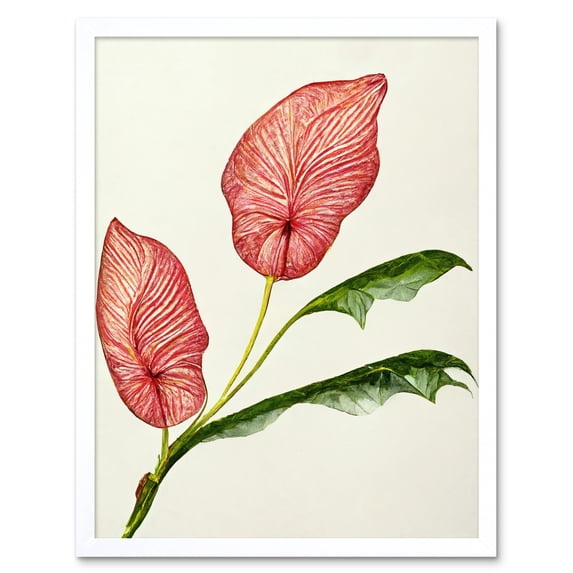 Pink Laceleaf Tropical Leaf Anthurium Botanical Art Print Framed Poster Wall Decor 12x16 inch