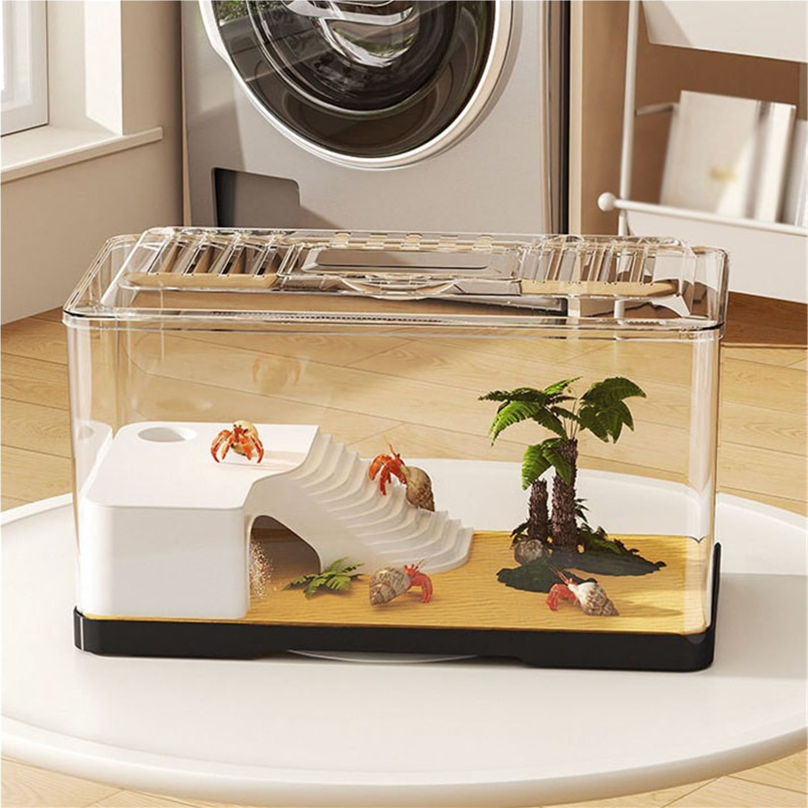 Transparent Turtle Viewing Tank Desktop Aquarium for Feeding and Observation