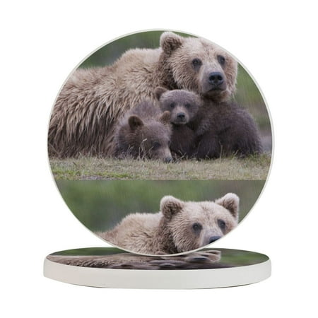 

Circular Drink Coasters Set Grizzly Bear Family- Beautiful Home Decor Diatomite Heat-Resistant Diatomite Protect Table Countertop
