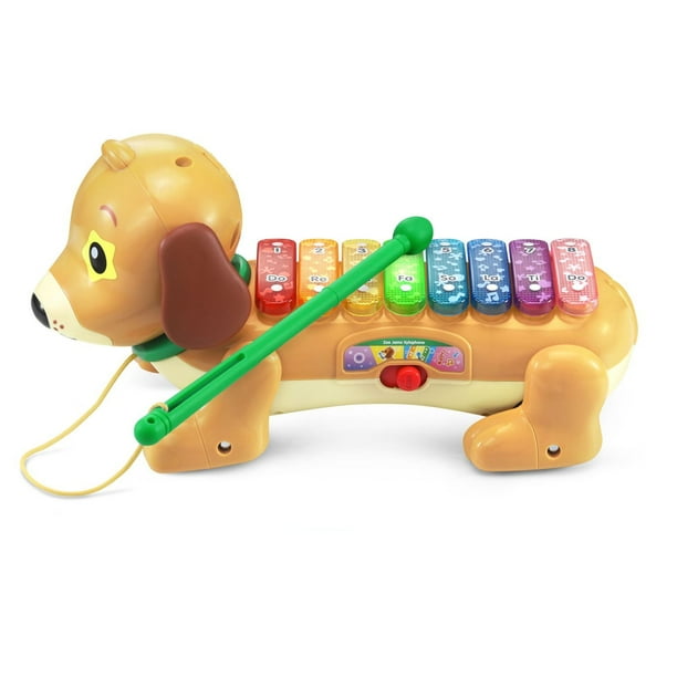 VTech Zoo Jamz Doggy Xylophone - Infant Musical Toy - English