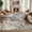 Gray/Brown, variant on MICGEEK 5x7 Washable Area Rugs for Living Room, Modern Abstract Printed Rug, Vacuum-Friendly, Non Slip Indoor Rug for Bedroom Dining Room Home Decor Carpet, Gray/Green