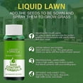Seed Spray Liquid, grass seeds for lawn Liquid Seeding Grass Lawn