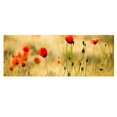 thumbnail image 1 of simhoa 1 Piece Modern Abstract Pictures Canvas Prints Paintings for Home Ornament Red Flower, 1 of 8