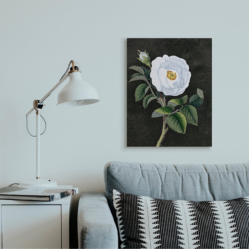 Stupell Industries White Poppy Illustration Vintage Flower Thorns Canvas Wall Art by Daphne Polselli