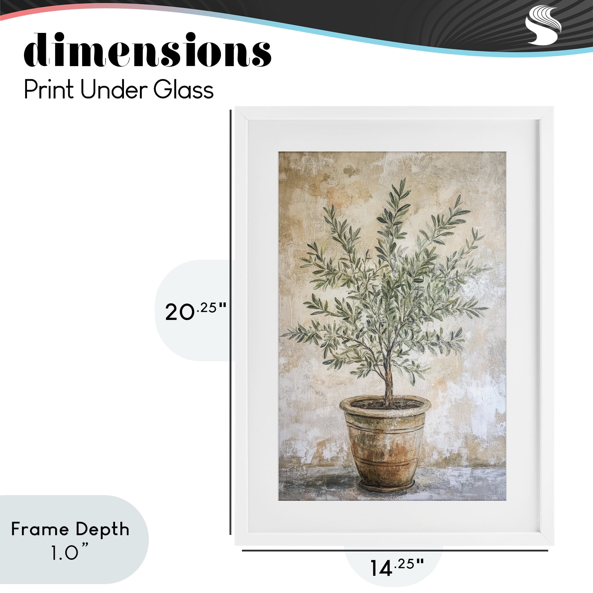 Stupell Industries Mediterranean Potted Olive White Framed Print Under Glass, design by Petal Prints Design