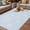 LightBLue, variant on Blue Dandelion Outdoor Rug for Patio/Deck/Porch, Non-Slip Large Area Rug 3 x 5 Ft, Spring Modern Minimalist Country Flower Indoor Outdoor Rugs Washable Area Rugs, Reversible Camping Rug Carpet Runner