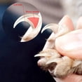 thumbnail image 5 of Cortaúñas Rouge-Claw para perros y gatos, cortaúñas afilado con lima de uñas, para el cuidado de las uñas de perros pequeños y medianos, gatos, conejos y cobayas, 5 of 5