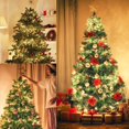 thumbnail image 4 of Guirnalda de luces navideñas Blissun 50 LED, batería de 4,9 m, 8 modos, 4 of 4