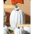 thumbnail image 3 of 12 Pcs Assorted White Plastic Pumpkin Decorations - Fall Home Decor for Thanksgiving, Halloween, Wedding & Party, DIY Craft Artificial Fake Foam Pumpkins for Table Centerpiece, 3 of 12