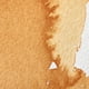 thumbnail image 2 of Winsor & Newton Pintura Profesional A La Acuarela Media Cápsula Ocre Dorado, 2 of 9