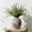 1007-terra, variant on Ceramic Decorative Flower Vase 1007-bronze Rustic Farmhouse Boho Home Decor