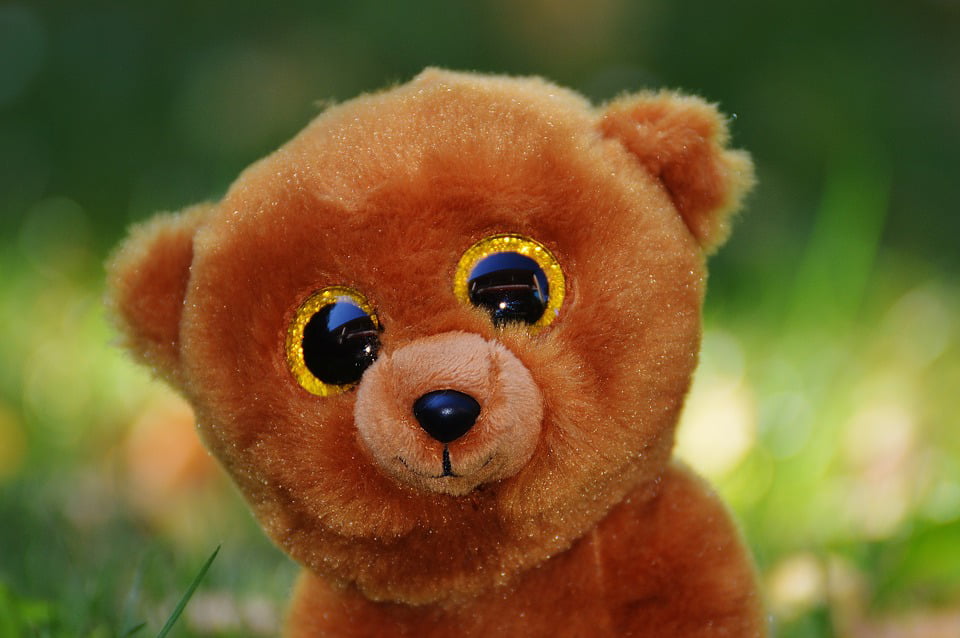 teddy bear eyes