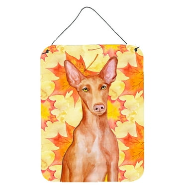 Carolines Treasures BB9976DS1216 Pharaoh Hound Fall Wall or Door Hanging Prints Yellow 12WX16H multicolor