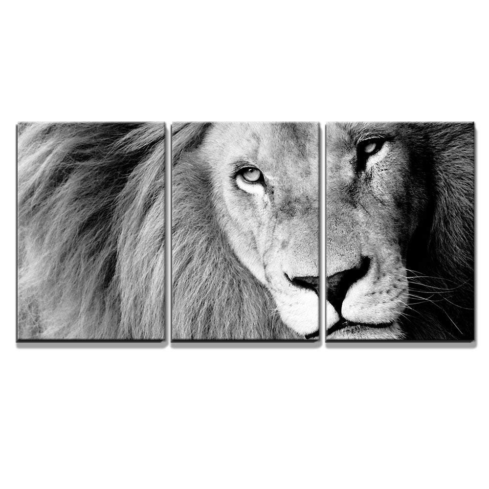 wall26 - 3 Piece Canvas Wall Art - Close Up of Male Lion ...