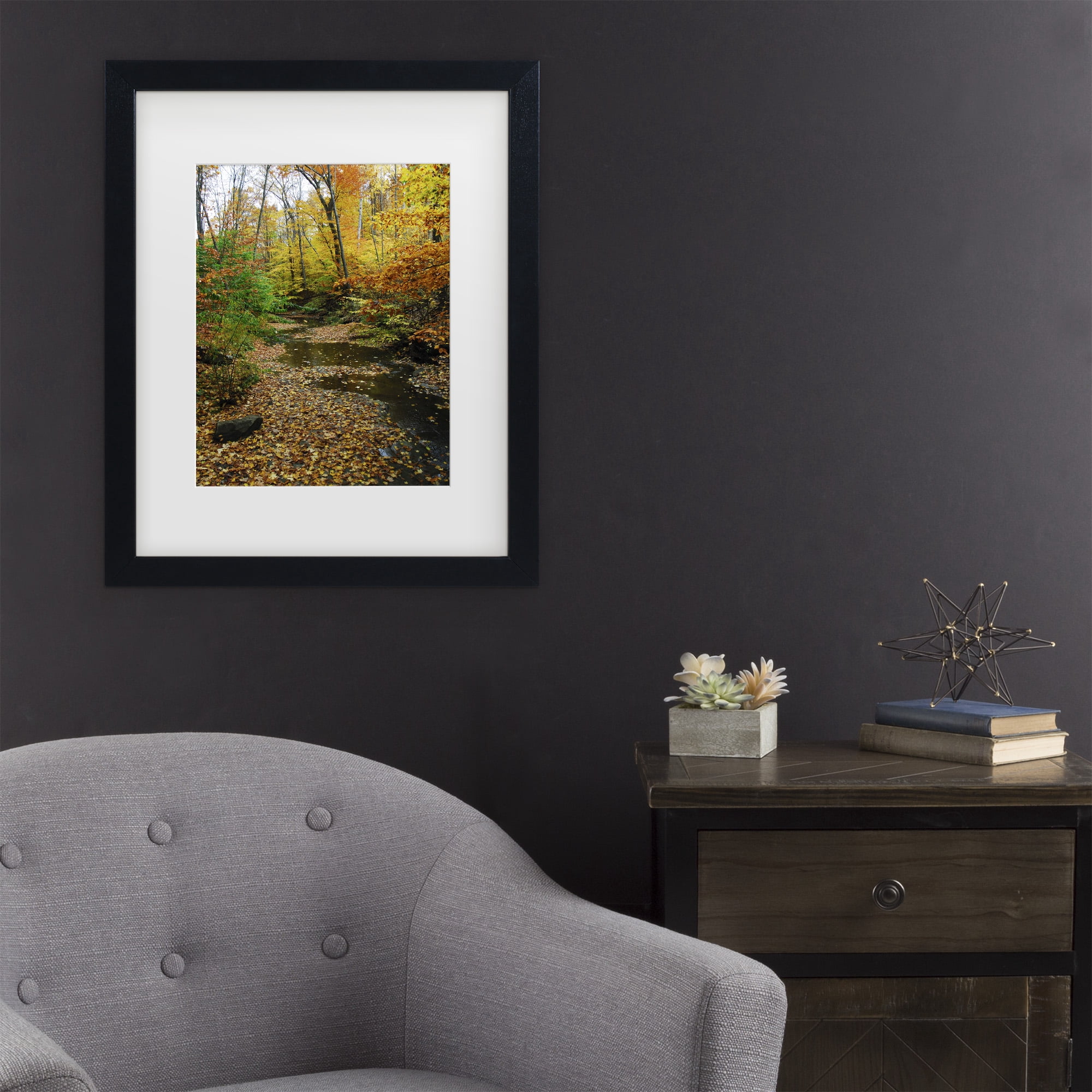Trademark Fine Art 'Autumn Stream' Canvas Art by Kurt Shaffer