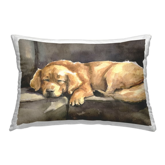 Stupell Industries Sleeping Golden Retriever Decorative Printed Throw Pillow Design by George Dyachenko.