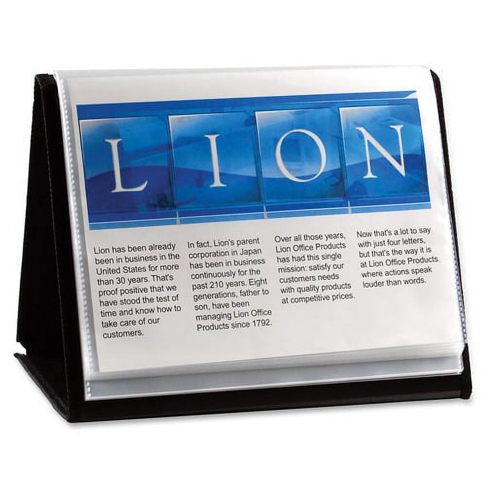 Lion, LIO39008, Flip-N-Tell Display Easel Books, 1 Each, Black