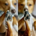 thumbnail image 6 of Simply Sage Rose Cat Paw Balm, 6 of 8