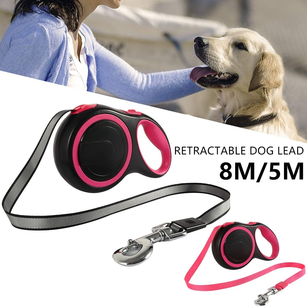 retractable cat lead