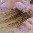 thumbnail image 7 of Mini Blonde Perfecting Purple Shampoo 2.4 oz/ 70 mL, 7 of 7