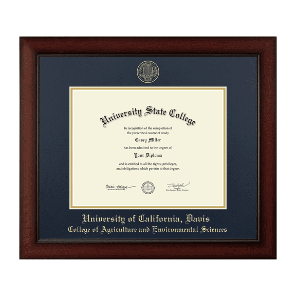Framerly - UC Davis Environmental Diploma Frame with Navy and Gold Mat