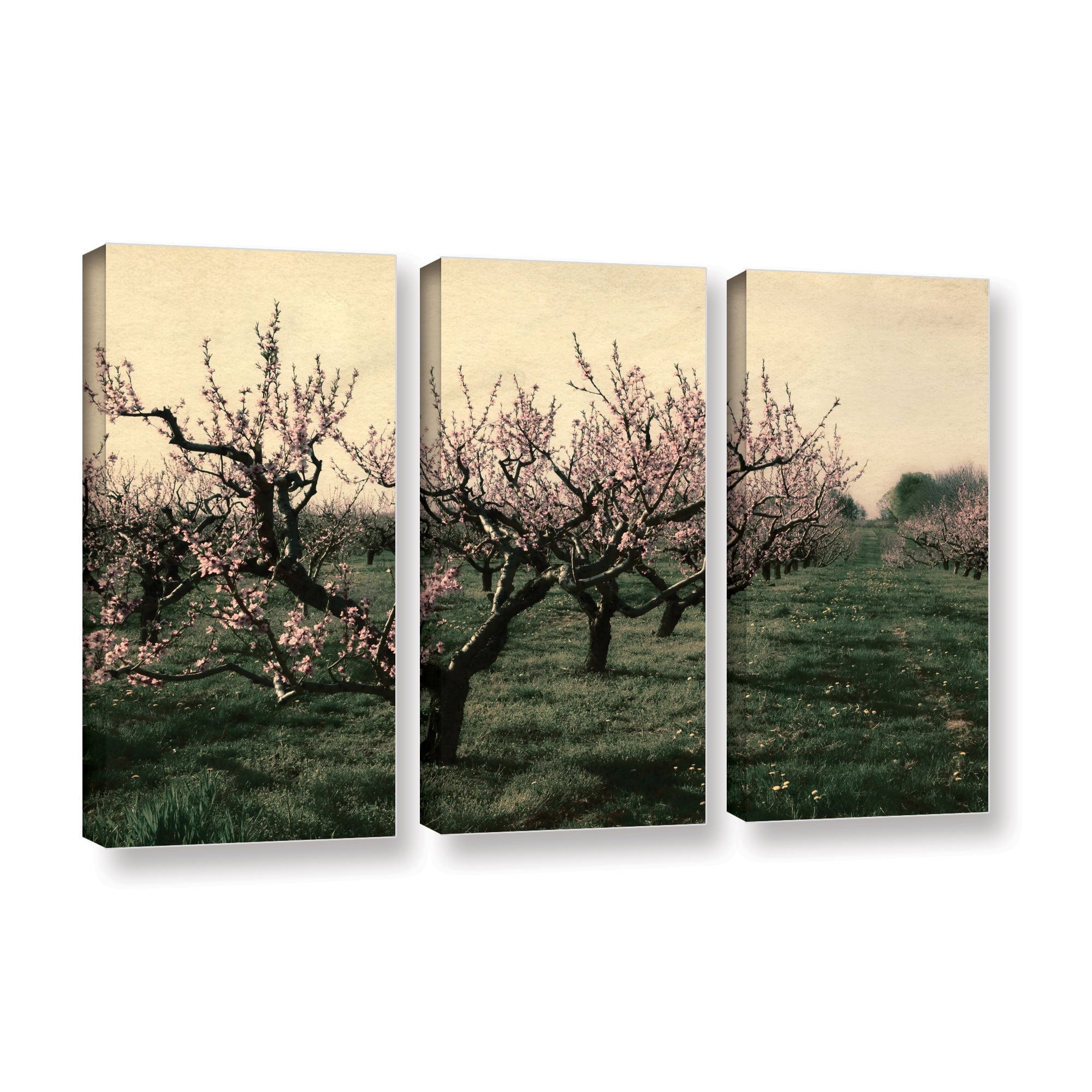 ArtWall Kevin Calkins "Cheery Cherries" 3-Piece Gallery-Wrapped Canvas Set