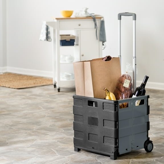 Honey-Can-Do Plastic and Steel  Folding Rolling Crate Utility Cart, Gray/Black
