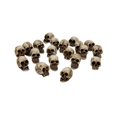 thumbnail image 1 of Ensemble de 20 Mini Crânes, Ornement Squelette, Squelette Miniature Moderne, 1 of 8