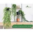 thumbnail image 4 of Der Rose 4-Count Artificial Eucalyptus, String of Pearls, Boston Fern, and Mandala Vine Plants in Plastic Pot, 4 of 7