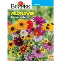 Burpee American Mix Wildflower Flower Seed
