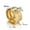 Women's With Stone, variant on 8mm Gold Matte Finished Titanium Steel AAA Cz Band Men Women's Gift Couple Rings
