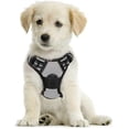 thumbnail image 1 of rabbitgoo Dog Harness  No-Pull Pet Harness with 2 Leash Clips  Adjustable Soft Padded Dog Vest  Reflective No-Choke Pet Oxford Vest with Easy Control Handle for Small Dogs  Beige  XS, 1 of 9